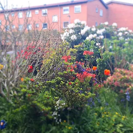 Apartamento Cosy Vogi Flat