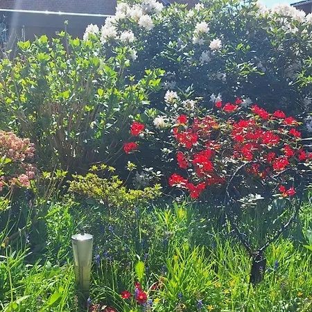 아파트 Cosy Vogi Flat 이카스트