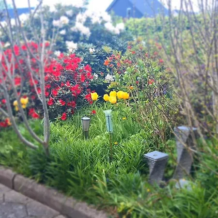 Cosy Vogi Flat Apartment