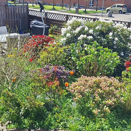 公寓 Cosy Vogi Flat 伊凯斯特