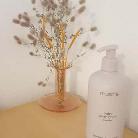 Cosy Vogi Flat * 이카스트