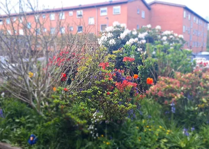 Апартаменты Cosy Vogi Flat