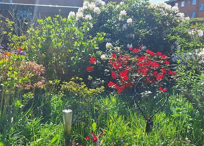 Апартаменты Cosy Vogi Flat Икаст