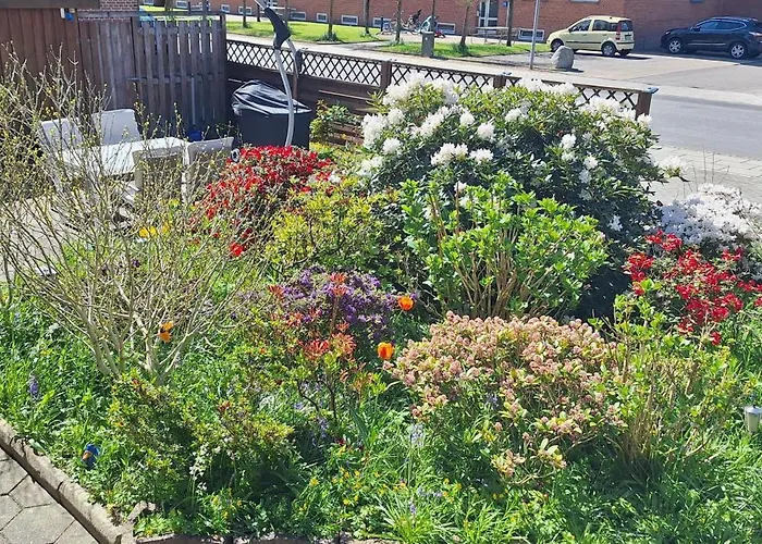 Апартаменты Cosy Vogi Flat Икаст